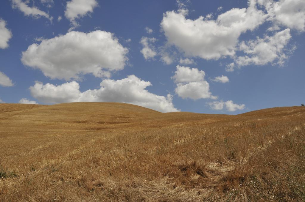 Agriturismo Podere Campaini Volterra Eksteriør billede