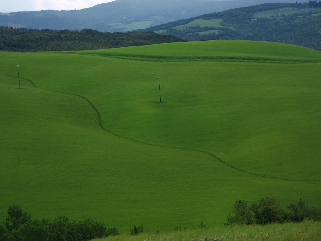 Agriturismo Podere Campaini Volterra Eksteriør billede
