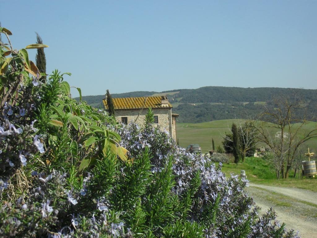 Agriturismo Podere Campaini Volterra Eksteriør billede