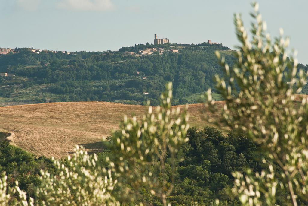 Agriturismo Podere Campaini Volterra Eksteriør billede