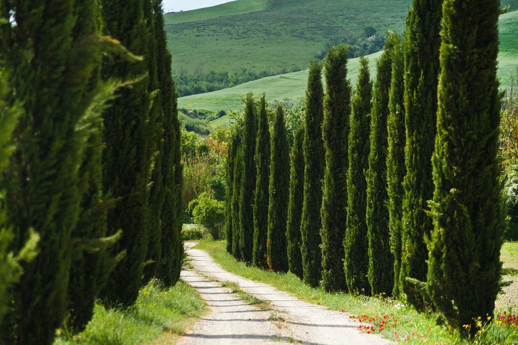 Agriturismo Podere Campaini Volterra Eksteriør billede