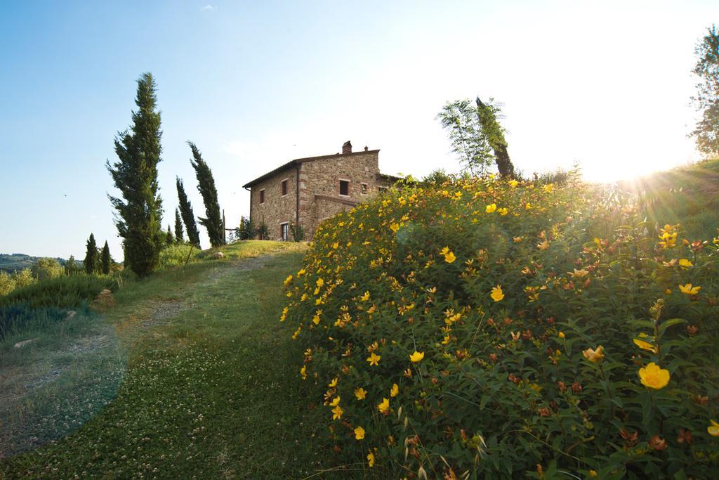 Agriturismo Podere Campaini Volterra Eksteriør billede